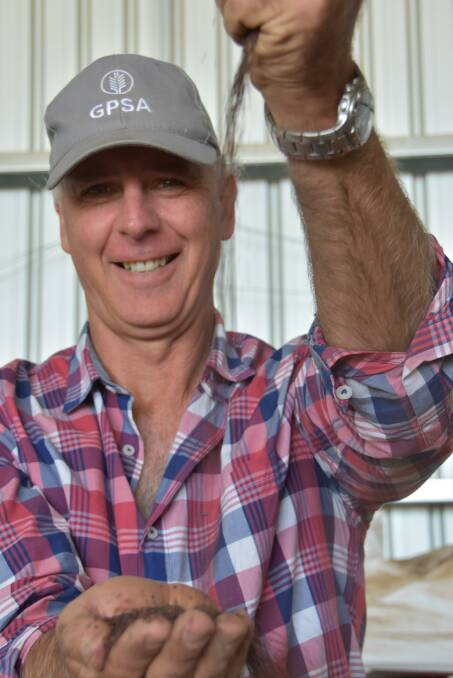 Hamley Bridge farmer Adrian McCabe also crops at Grenfell in NSW, where he grows Nuseed's GM canola variety Xseed Raptor. He plans to sow some RR canola on his SA property next year.