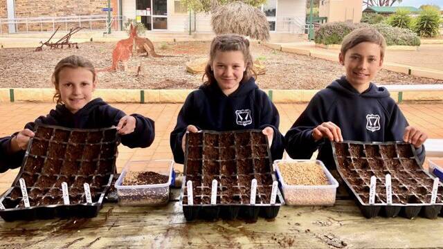 Orroroo Area School students Alice Reddaway, Holly White and Brock Thomas.