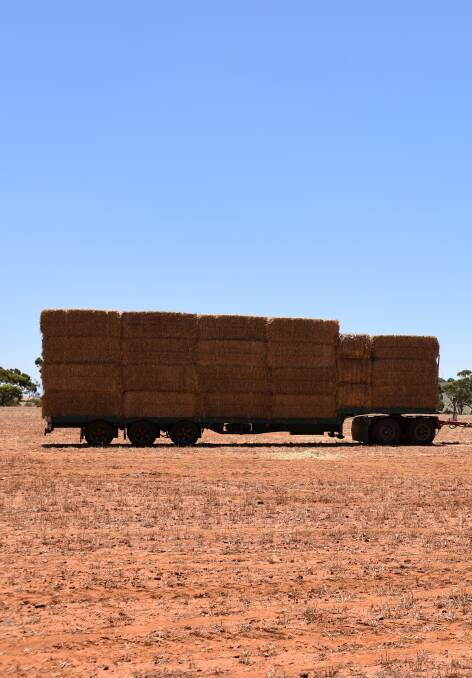WA unable to supply hay for SA producers