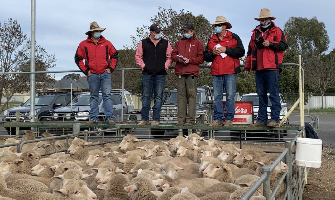 Lamb prices drop at Ouyen