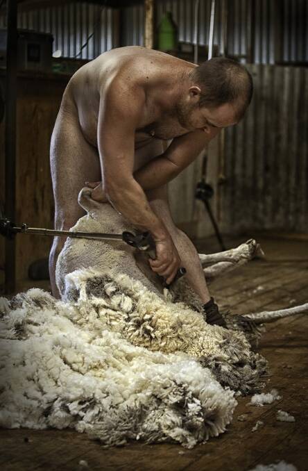 UNLIKELY HERO: Stock Journal photographer Jacqui Bateman won a global award this week for her 2016 photograph of naked shearer Daniel Telfer (pictured).