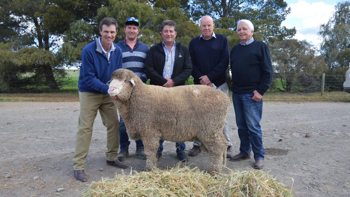 PERFECT POLL: Nick Wadlow holds the $4800 top price Poll Merino at the 2015 Old Ashrose ram sale with buyers Stefan and Gregor Wilkins, Rob Ashby and Barry Wilkins.