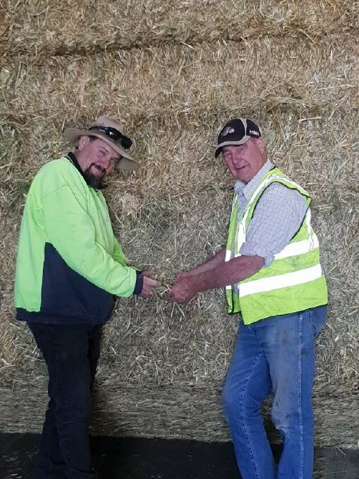 PREPARE NOW: Grains and Fodder Committee chair Bill Rowett discusses hay for the 2021 Royal Adelaide Show with Scott Matchoss, Johnsons, Kapunda.