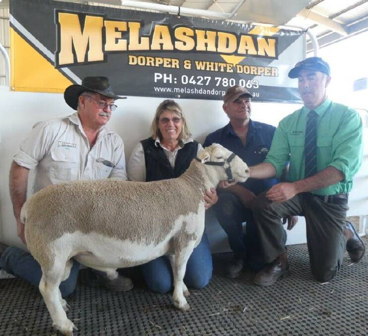 Melashdan's Gary and Janice Fiegert, Tumby Bay, with top White Dorper ram buyer Bill Herde, Rudall, held by Nutrien's Justin Thompson.