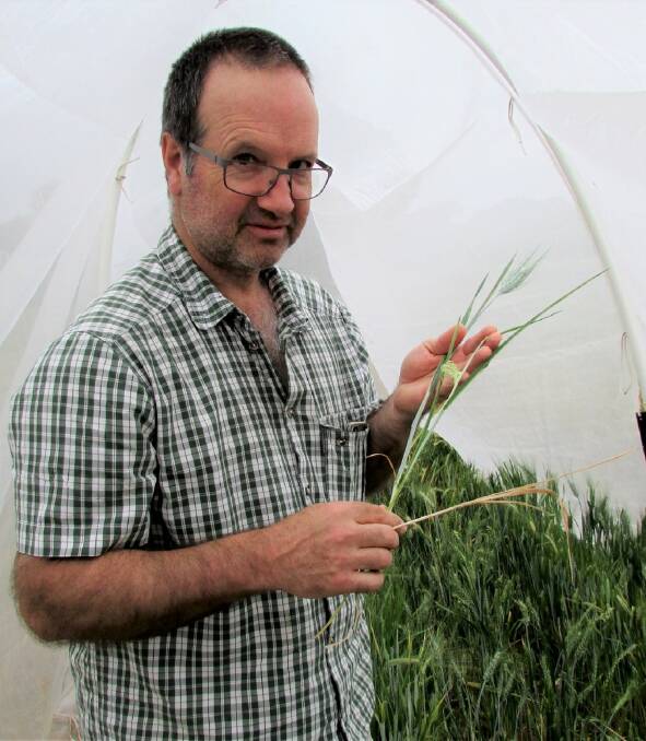 Among the guest speakers will be entomologist Maarten van Helden from the SARDI will provide an update on the management of Russian wheat aphid.