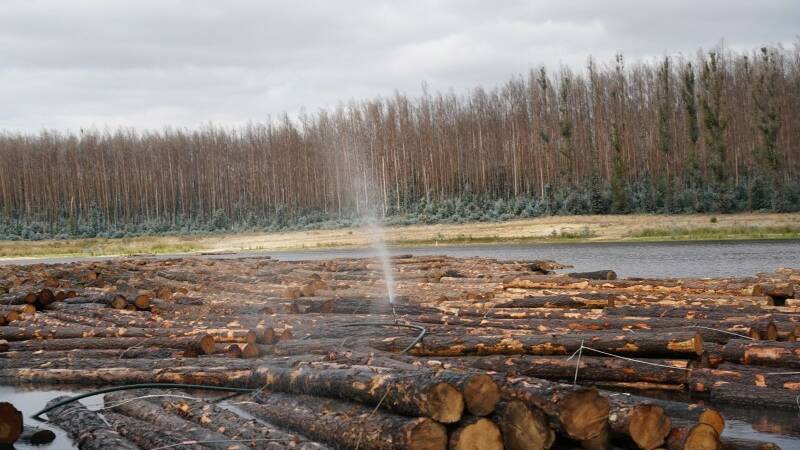 VALUABLE RESOURCE: The dam on KI Plantation Timber's Macgill property, where it has plans to store more than 100,000 tonnes of pine. Photo: KIPT 