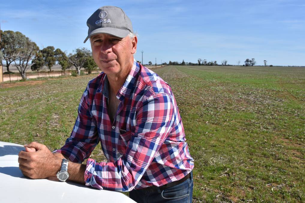 PRO CHOICE: Grain Producers SA vice-chairman Adrian McCabe encouraged farmers to start researching GM crops if they planned to use the technology in 2021. 