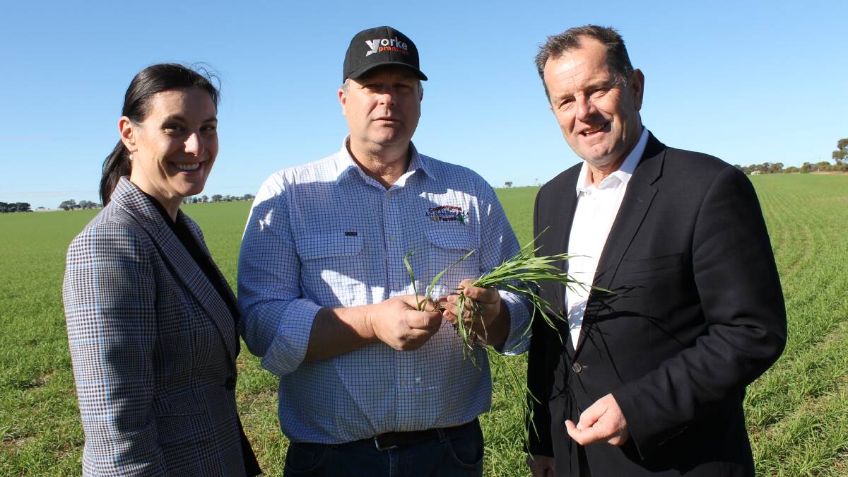 GPSA chief executive officer Caroline Rhodes, Cunliffe graingrower Mark Schilling and Primary Industries Minister Tim Whetstone at the blueprint launch in June.