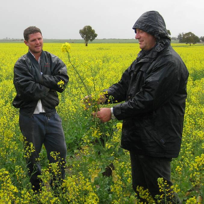 GOLDEN OPPORTUNITY: WA farm consultant Geoff Fosbery (right) said GM canola suited higher rainfall areas of the South East, Mid North, Yorke Peninsula and lower Eyre Peninsula, and may be used more "opportunistically" in lower rainfall areas.