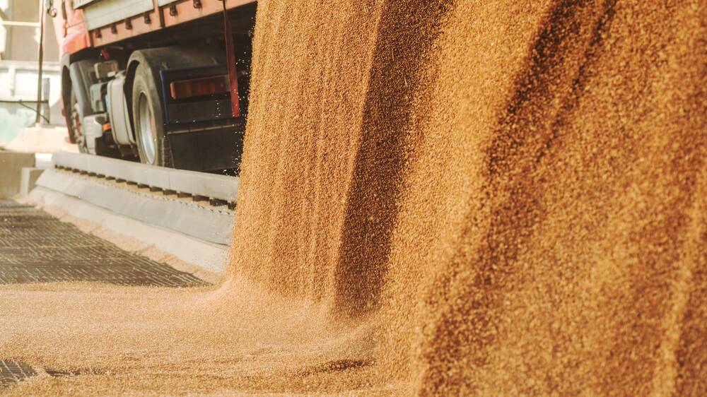VOLATILITY THREAT: If any of the following production issues come to light, or even just rumours of them, it could lead to rises in the grain market. Photo: SHUTTERSTOCK