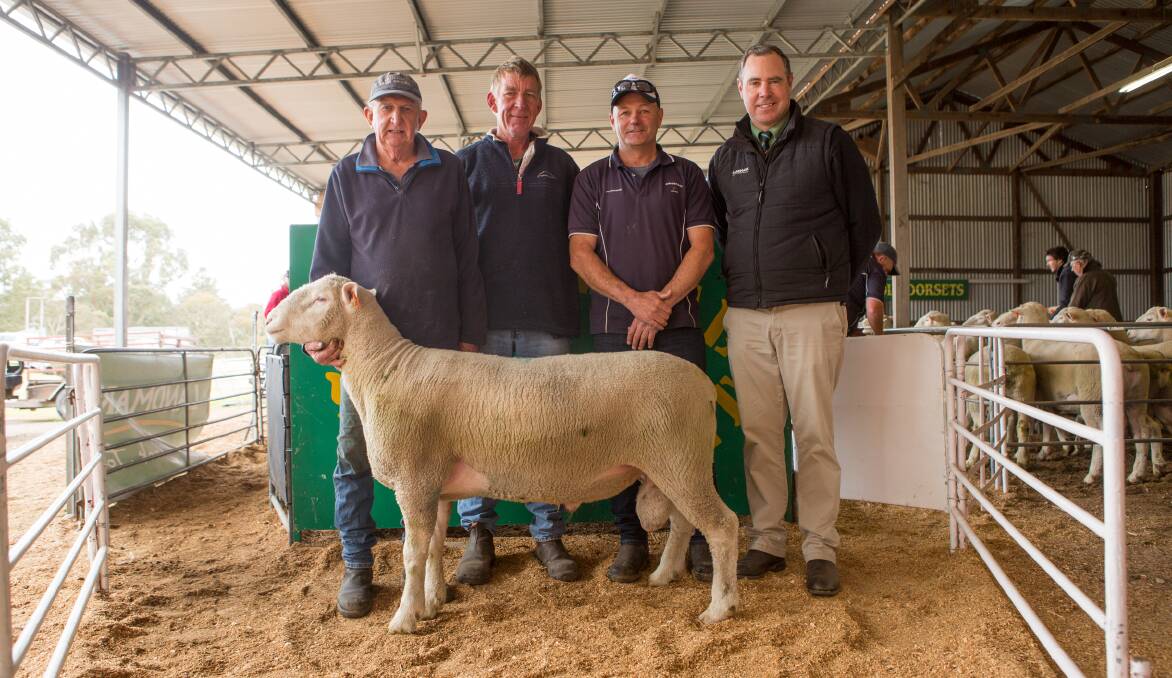 IMPRESSIVE SIRE: Gowan Brae stud principal Leigh Clifford; $3300 top price ram buyer Phil Bowman, Nambow Acres, Hatherleigh; Millicent agent John Chay; and Landmark auctioneer Richard Miller.