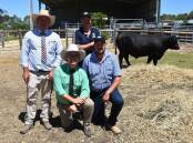 Stoney Point auctioneers Jono Spence and Gordon Wood with stud manager Peter Colliver and top price bull buyer Roger Smith, Orwell Rocks, Port Macdonnell.