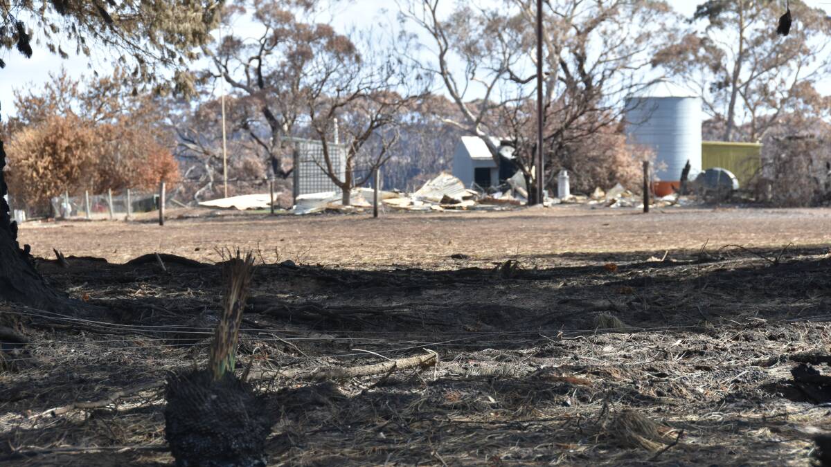 Govt money paid to bushfire victims