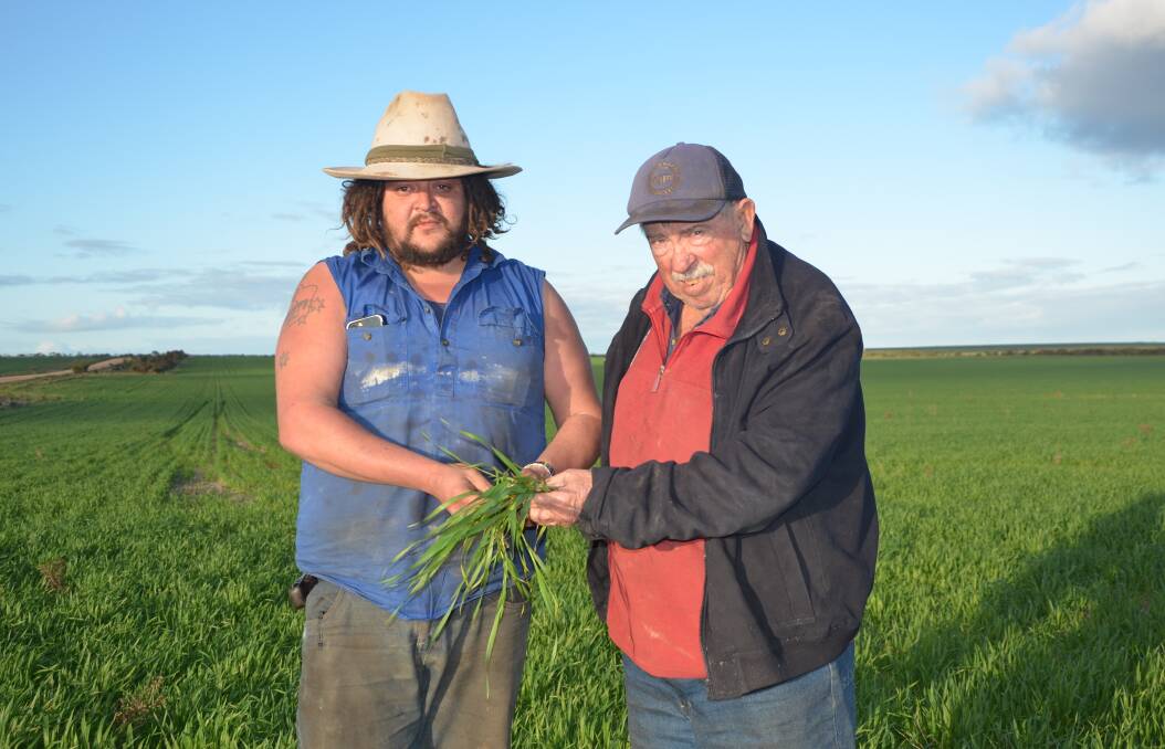 CHANGING FORTUNES: After four challenging seasons, this year is shaping up well for Arno Bay growers Sam and Dean Siviour, with close to 120mm of rain falling in June and July.