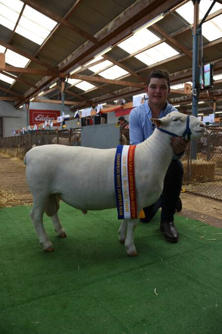 OUTSTANDING PARADER: Thomas Edson, Red Rock, Keith, with the champion White Dorper ram. 