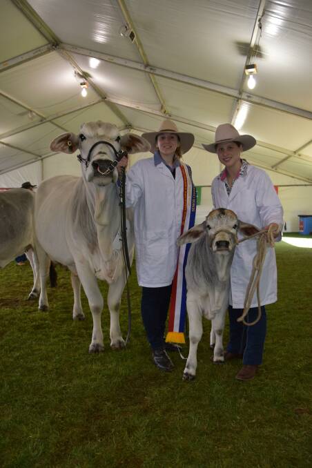Senior champion female was won by four-year-old Coliana Nina with Emmeline Vivian, Mannum, and Cassy Kylie, Mannum, holding her 3mo calf.