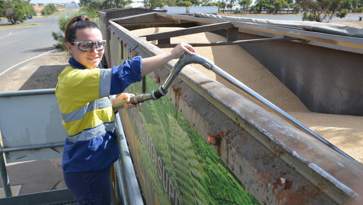 Quality yield: Classifier Samara Mahoney, Gawler, getting a grain sample at the Roseworthy silos recently. The site will be expanded for the 2019-20 harvest season.