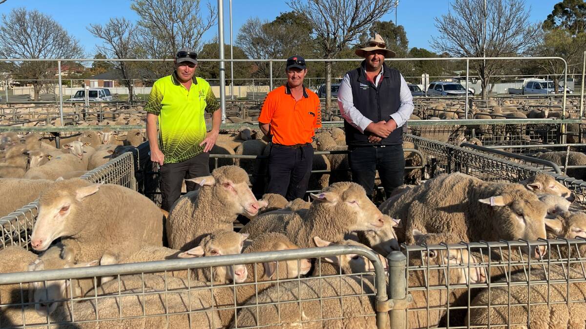 Jasper Munro, Matt Retallick and BR&C agent Rory Singleton with the donated Tanany lambs which sold for $290 per head. (Masks were removed for the benefit of the photo)