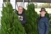 Demand stays strong for Christmas trees