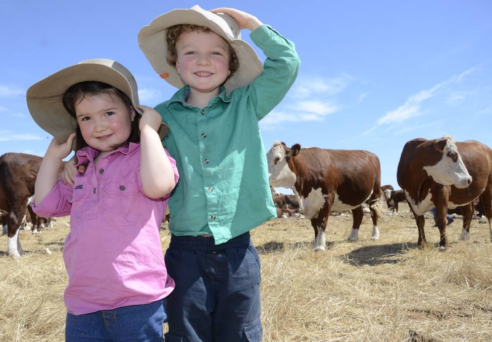 Aurelia, 2, and Malachi, 4, McIntosh with the family's Border Park Organics beef herd.
