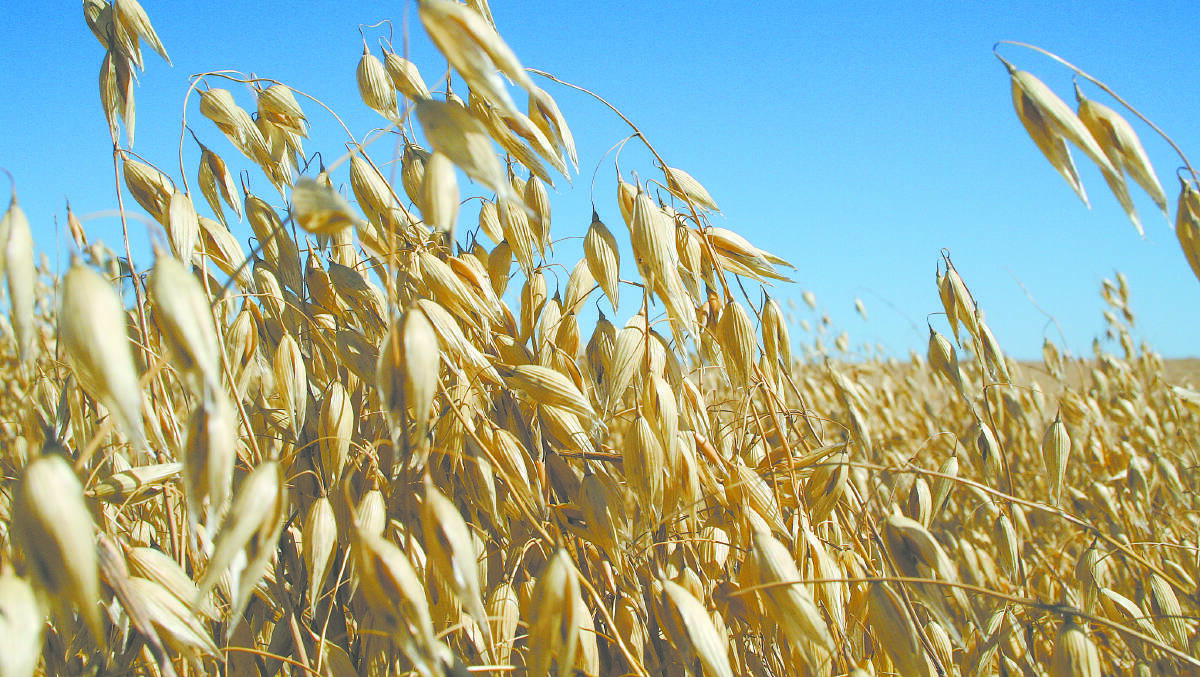 Grains industry given $3m to grow