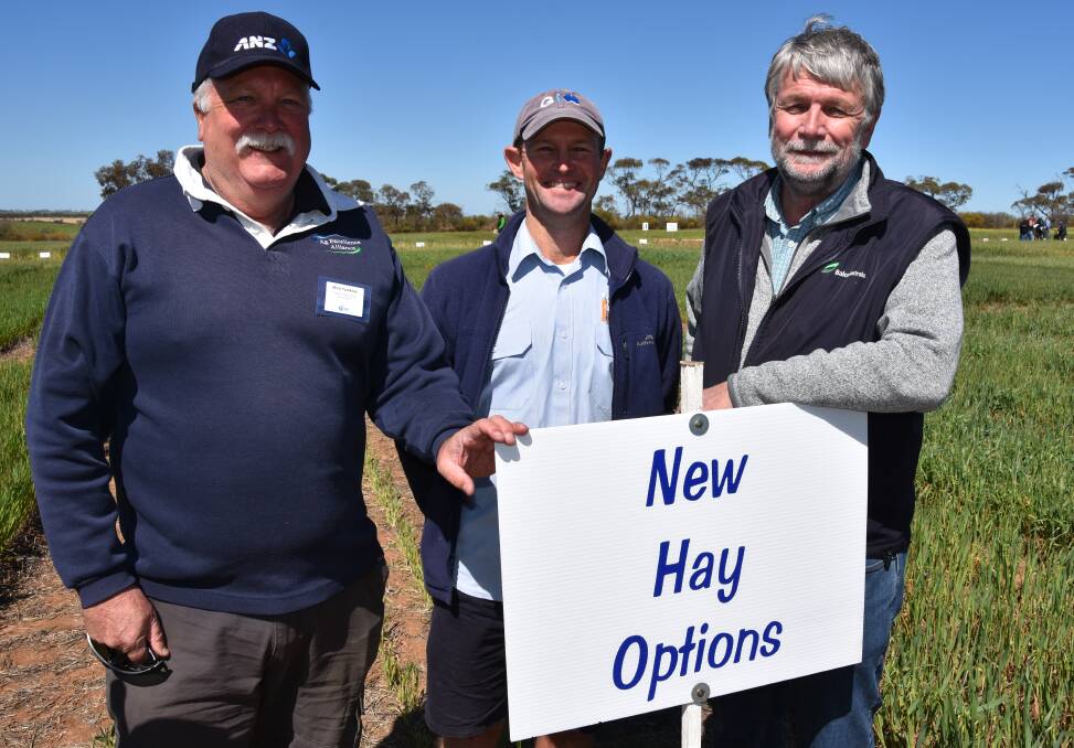 MORE OPTIONS: Agrilink's Mick Faulkner, Grain Innovation Australia's Larn McMurray, Clare, and Balco field services manager Pat Guerin, Balaklava, at Hart.