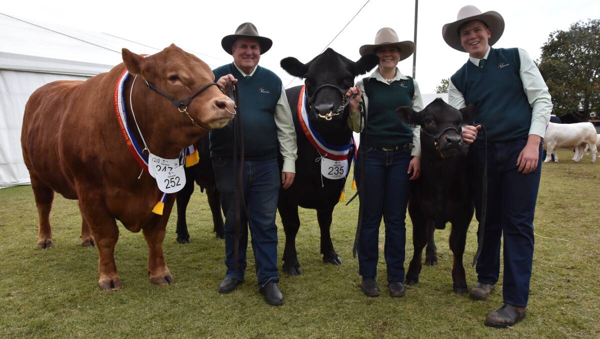 Entries for the beef cattle and led steer section of the Royal Adelaide Show are closing soon, on Friday, June 18.