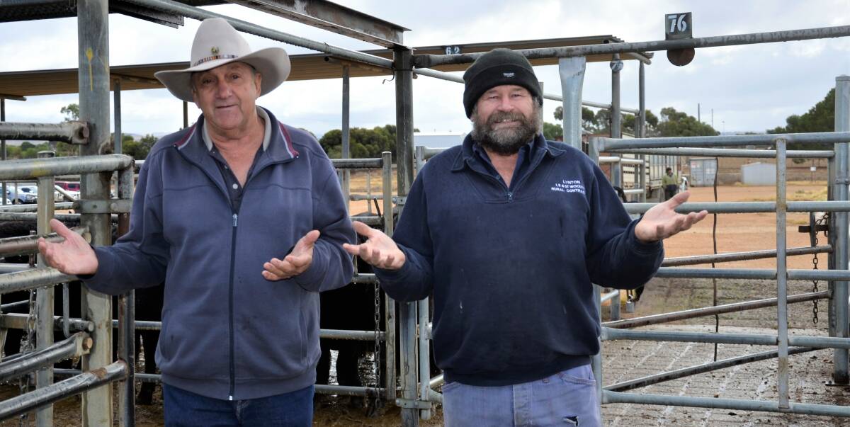 WET PROMISE: Bob Sinkinson, Murray Bridge, and Lynton Woolfitt, Strathalbyn, enjoying the wet at the Strathalbyn store sale on Friday, where agents were hoping the recent rain would boost restocking inquiry.