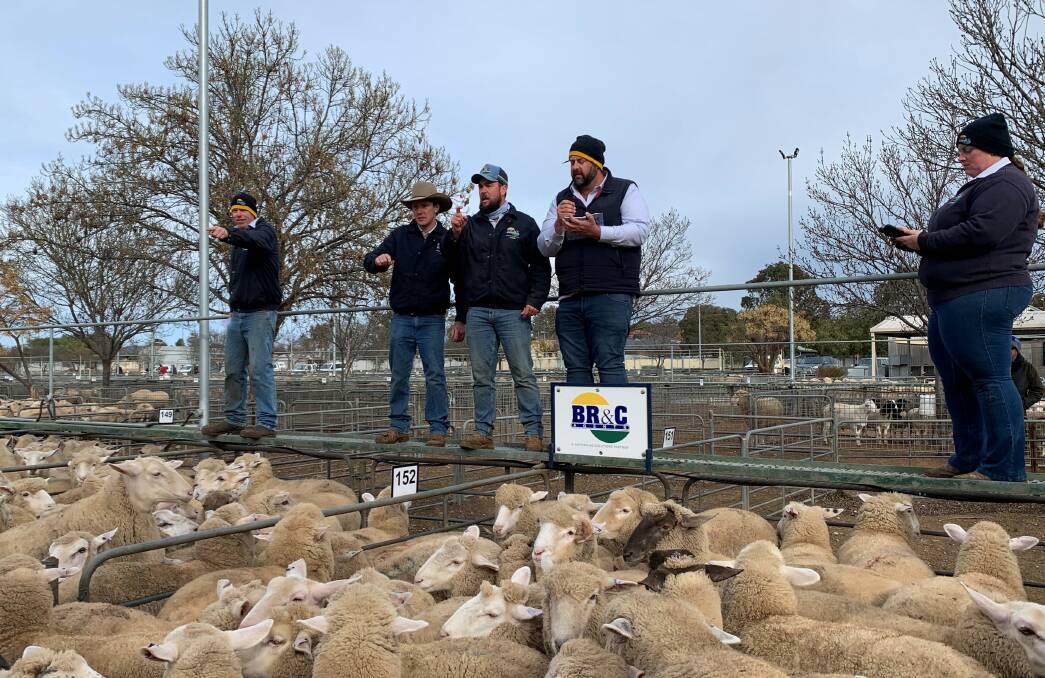 BR&C and Nutrien Ag Agents at the Ouyen sheep market on Thursday last week.