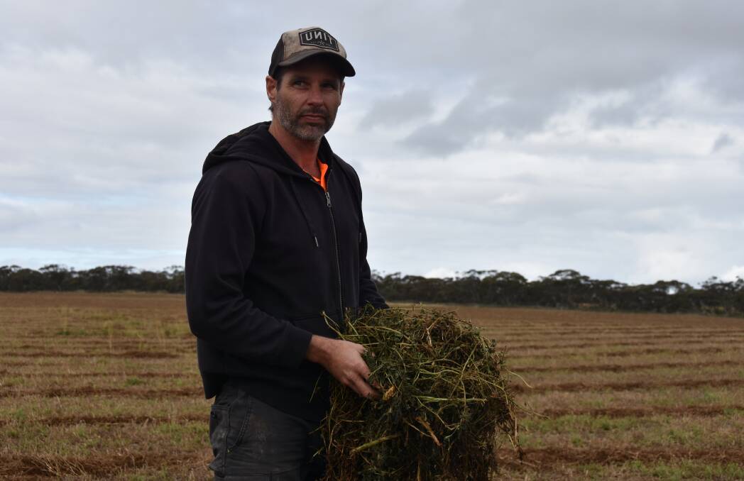 WARM UP: Wynarka farmer Simon Martin with cut vetch that was rained on last week. After some warmer days this week, they started baling it on Wednesday.