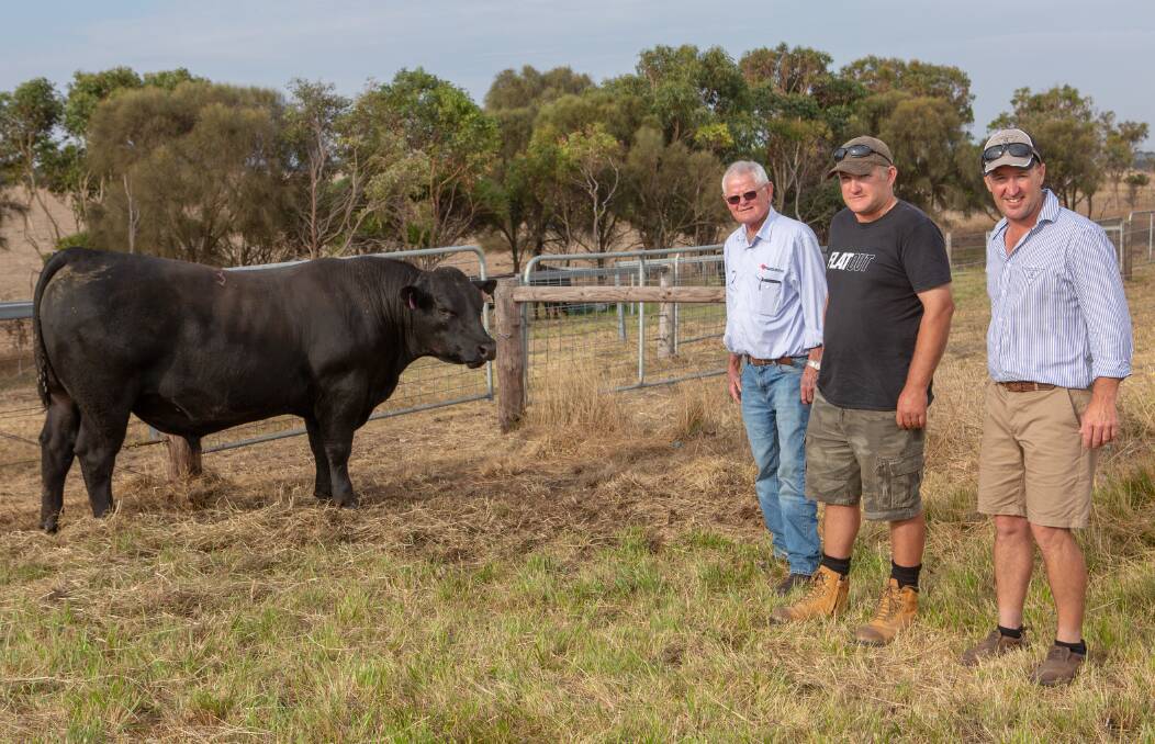 GOOD DESIGN: Southern Australian Livestock's Dean Hampel with $5750 top Glentanner bull buyer Steve Berkefeld, Mount Schank, and Glentanner Angus stud principal Brad Lucas.