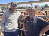 Craig Fisher, Fisher Feedlot, via Loxton, with Golding Livestock agent Curly Golding, Nutrien Loxton, bought nearly 80 head, aiming for steers in the mid-300kg range.