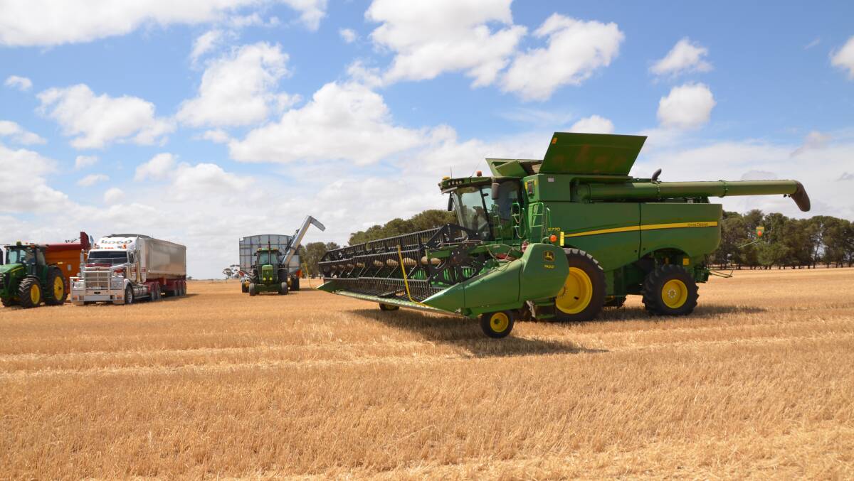CASH CROP: The recent 9.14 million tonne harvest has been classed as the second most-lucrative on record in SA, valued at $2.5 billion.