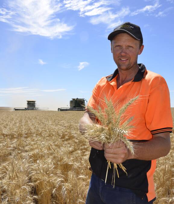 GOLDEN GRAIN: Pinnaroo cropper Wade Nickolls in Mace wheat, which averaged 4t/ha. His Scepter wheat averaged 6t/ha, and will become the major variety this season.