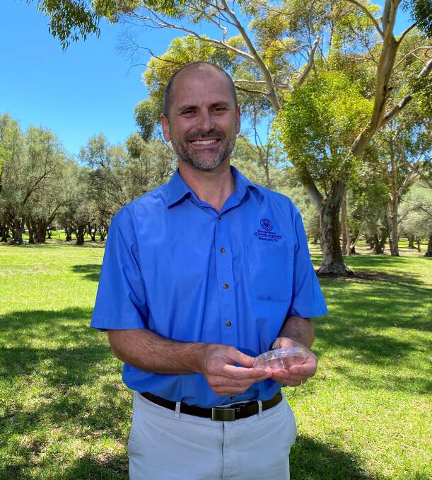 PIRSA Plant and Invasive Species Biosecurity director Nick Secomb was confident that proven control methods would lead to a successful Qfly eradication in the Salisbury North outbreak area. Picture supplied