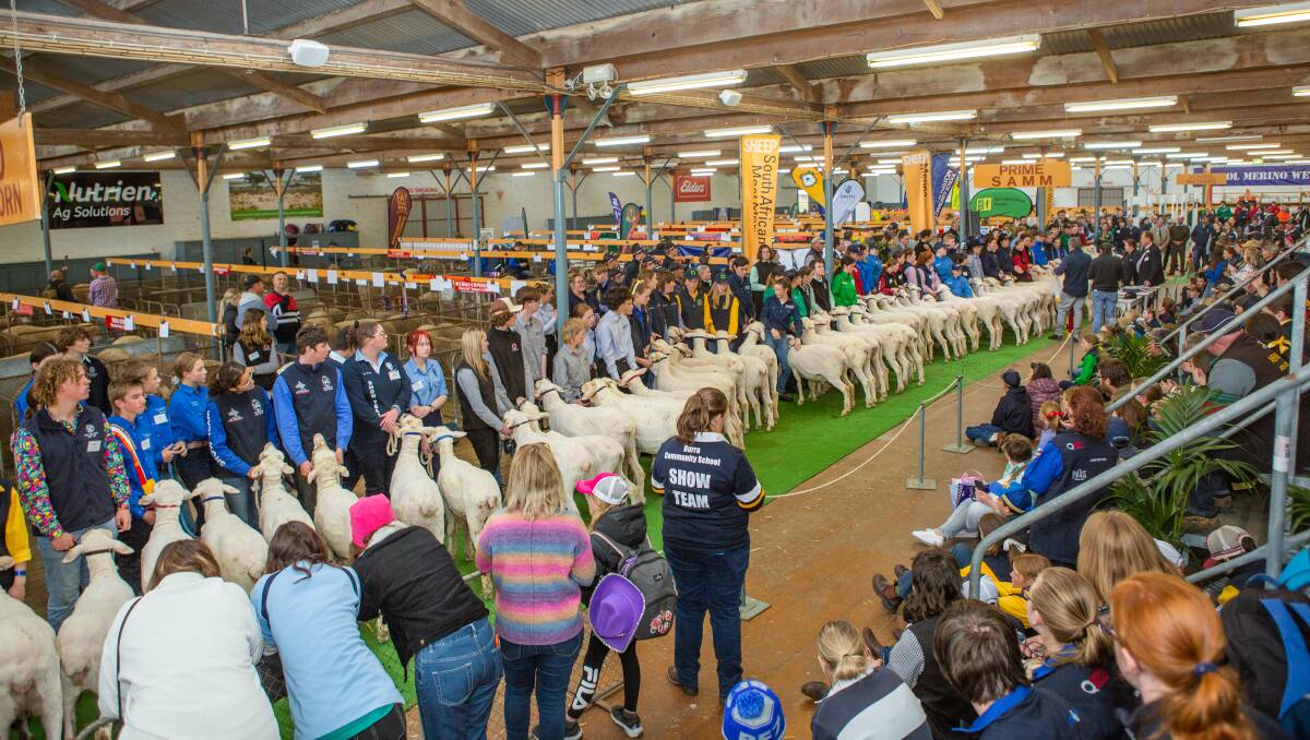 The School Wether Competition at the Royal Adelaide Show in 2022. Picture by Jacqui Bateman