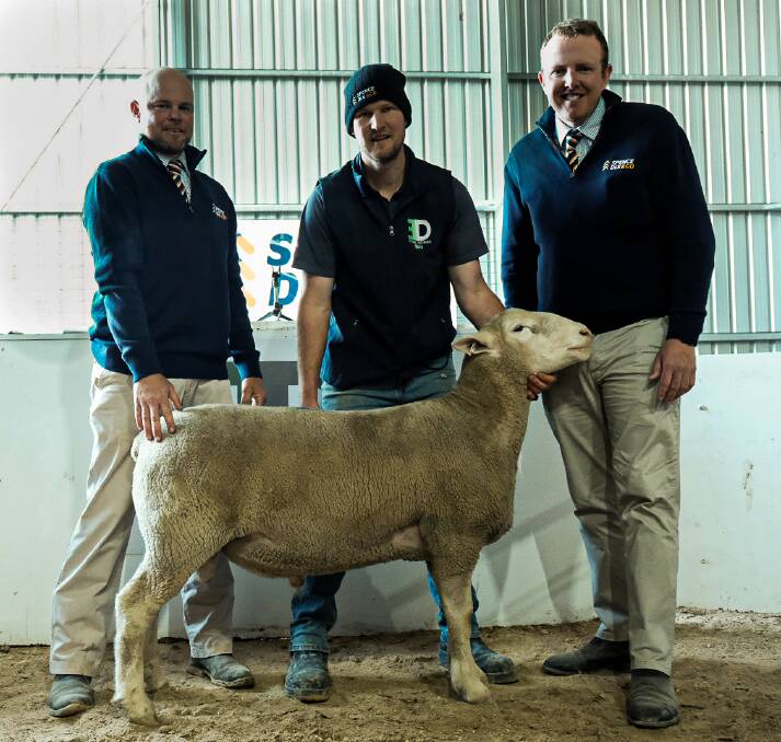 STRONG SUPPORT: Spence Dix & Co co-auctioneer Luke Schreiber with Elton Downs stud principal Chris Rudiger, the $2900 top price White Suffolk ram and Spence Dix & Co co-auctioneer Dean Coddington.