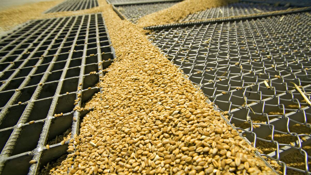 LOW: The International Grains Council estimates the 2020-21 ending stocks for grains globally is expected to be the lowest in five years. Photo: SHUTTERSTOCK