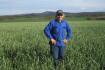 New triticale handles the dry