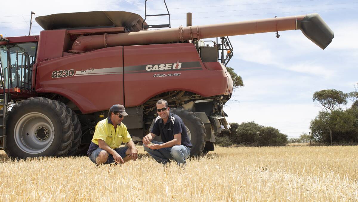 YP AG senior agronomist Chris Davey (right) is encouraging SA growers to attend WeedSmart Week at Clare in September as a good opportunity to formulate a plan to manage weeds throughout the year and through the rotation using the WeedSmart Big 6.