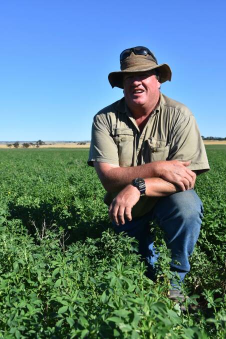 NEW GENES: Tim Harvey was excited about new GM technologies, including frost-tolerant varieties to use in frost-prone paddocks now designated to sheep feed (pictured).