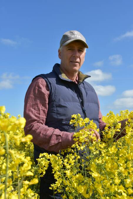 NO CASE: Grain Producers SA vice-chairman Adrian McCabe, Hamley Bridge, also farms at Grenfell, NSW, where he says GM canola contamination has not occurred.