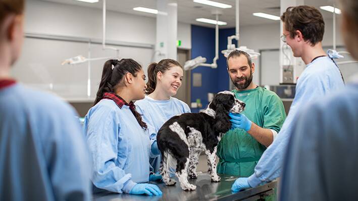 The new University of Adelaide veterinary technology students will study alongside the animal and veterinary science students at Roseworthy campus.