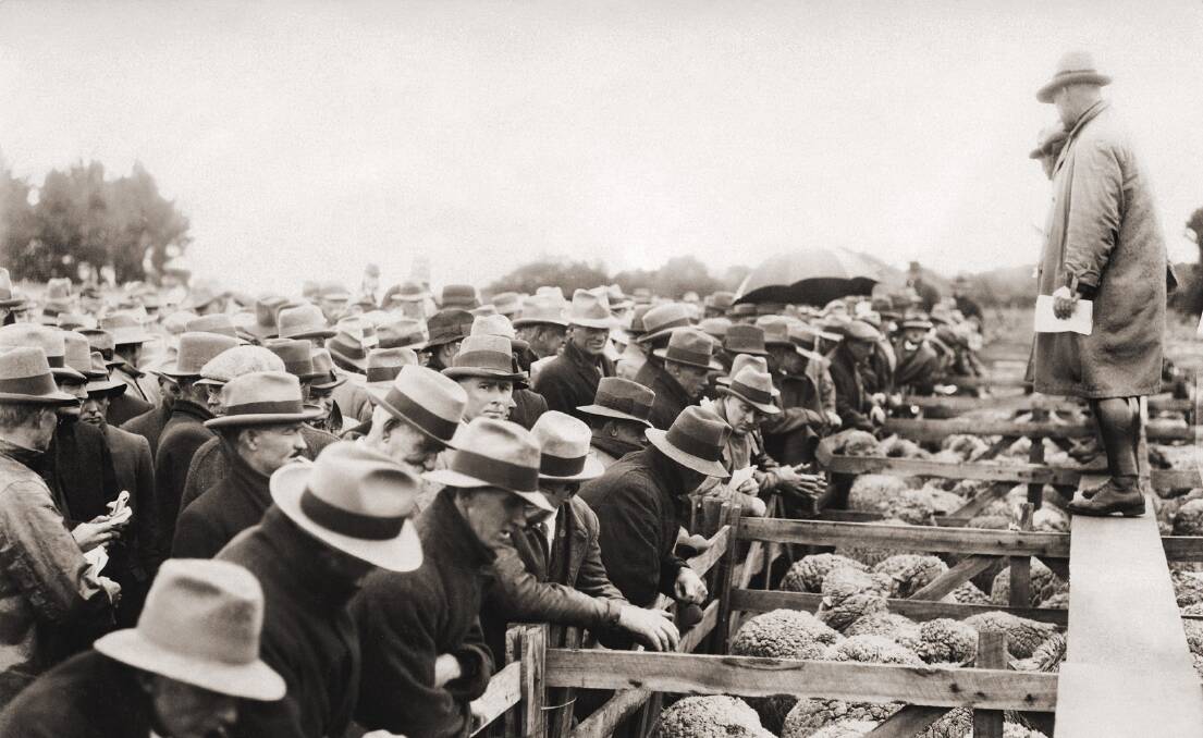 EXTENSIVE FLOCK: A sheep sale at Bungaree Station in 1925. 