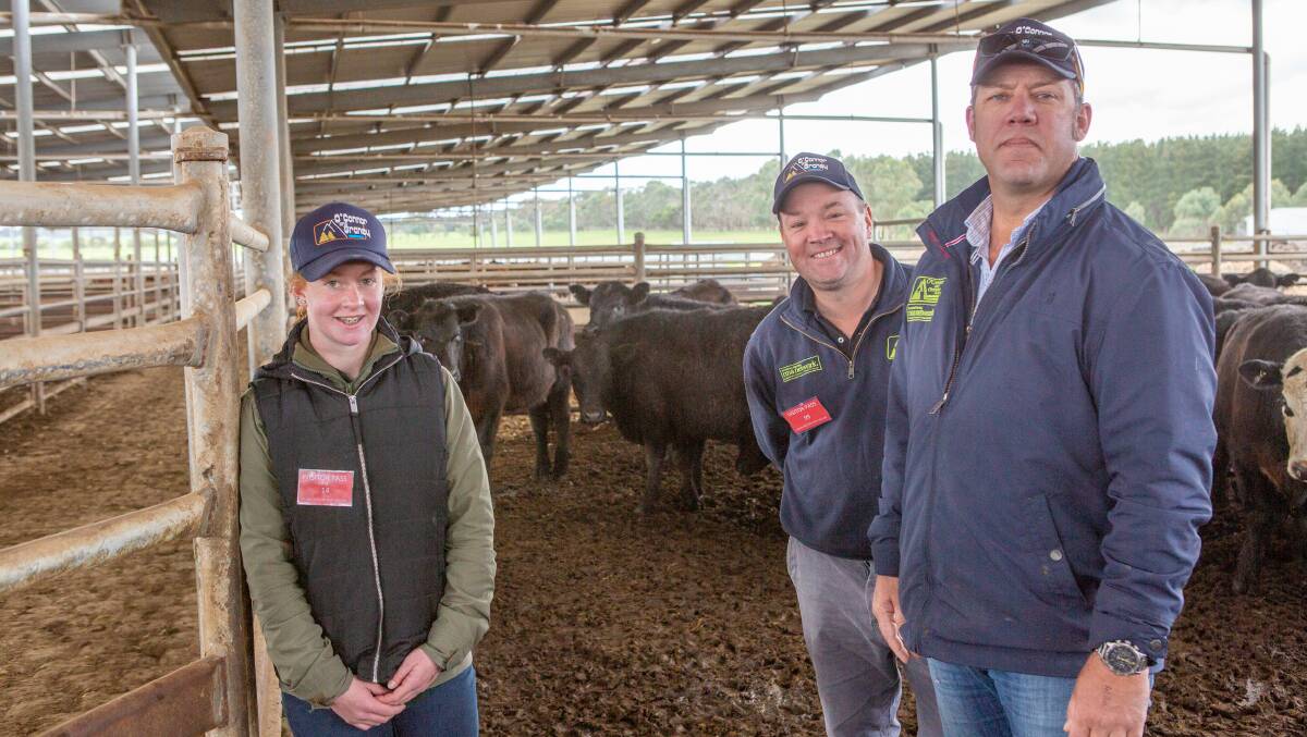 LEARNING THE ROPES: Work experience kid Mackenzie Millard, St Martin's Lutheran College, Mount Gambier, with O'Connor & Graney agents Matt Burdon and Ben Jones.