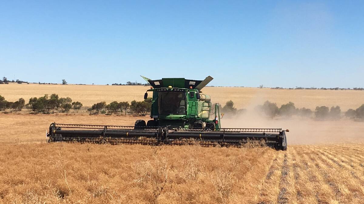 BIG YEAR: Australian lentil producers were thrilled with results this season.