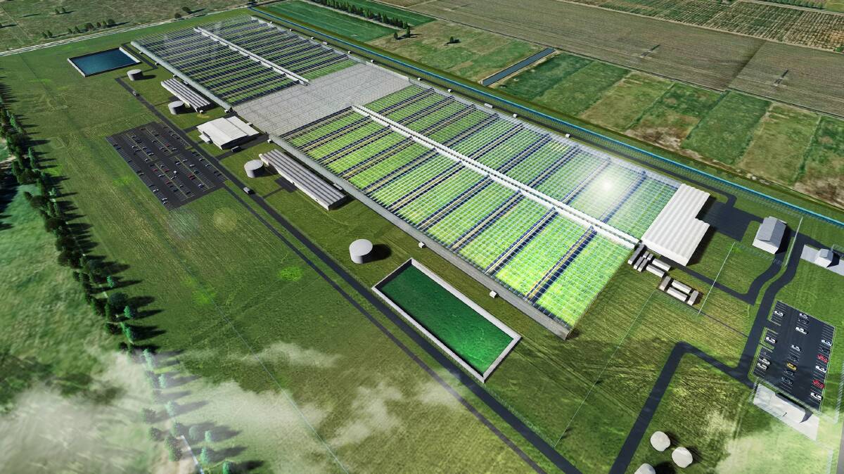An artist's impression of how Cannatrek's Shepparton facility will look when completed.