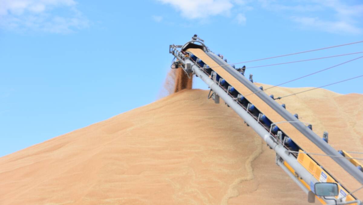 ON A ROLL: Grain prices have kicked in January.