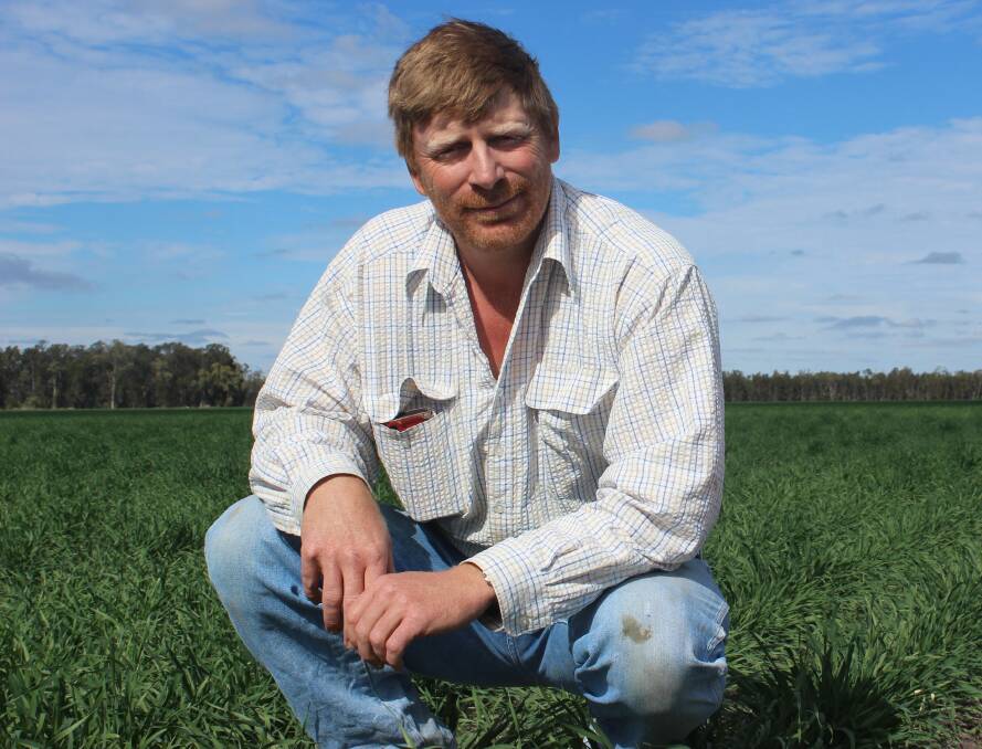 Ironically, AgForce Queensland grains section president Brendan Taylor says after years of drought it is nearly too wet in his local area.