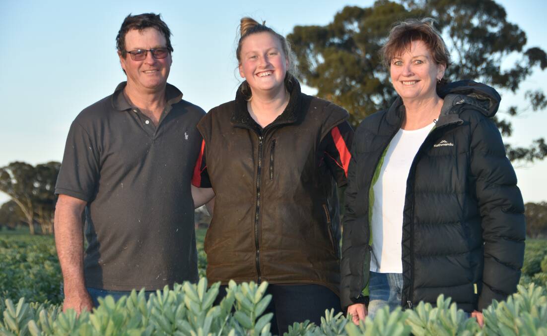 Andrew, Ellie and Paula McDonald in a paddock of Samira faba beans at their Dadswells Bridge property this week.